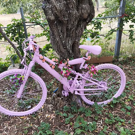 Koula 2-koula Apartman