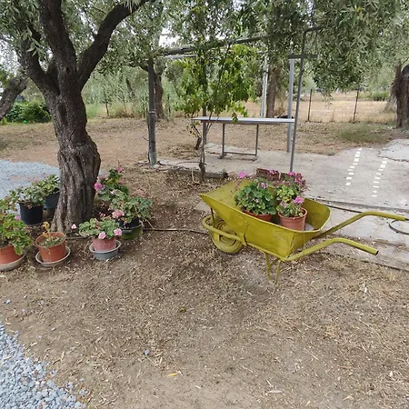 Apartment Koula 2-koula