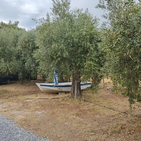 Koula 2-koula 포토스