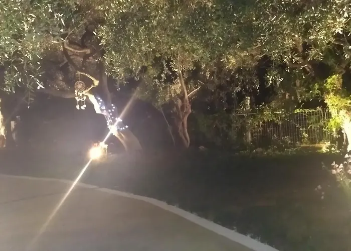 Daire Koula 2-koula *