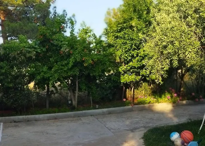 Daire Koula 2-koula *